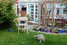 A picture containing grass, outdoor, building, lawn  Description automatically generated